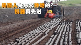 味精包裝機(jī),食品包裝設(shè)備,廠家直銷,歡迎來(lái)廠驗(yàn)貨